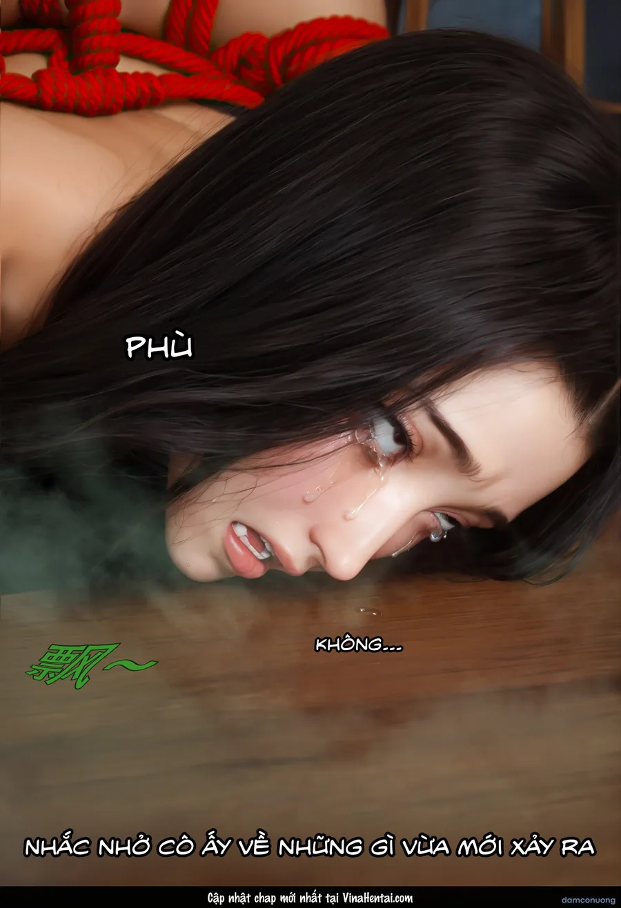 Mật Vụ Phượng Hoàng 