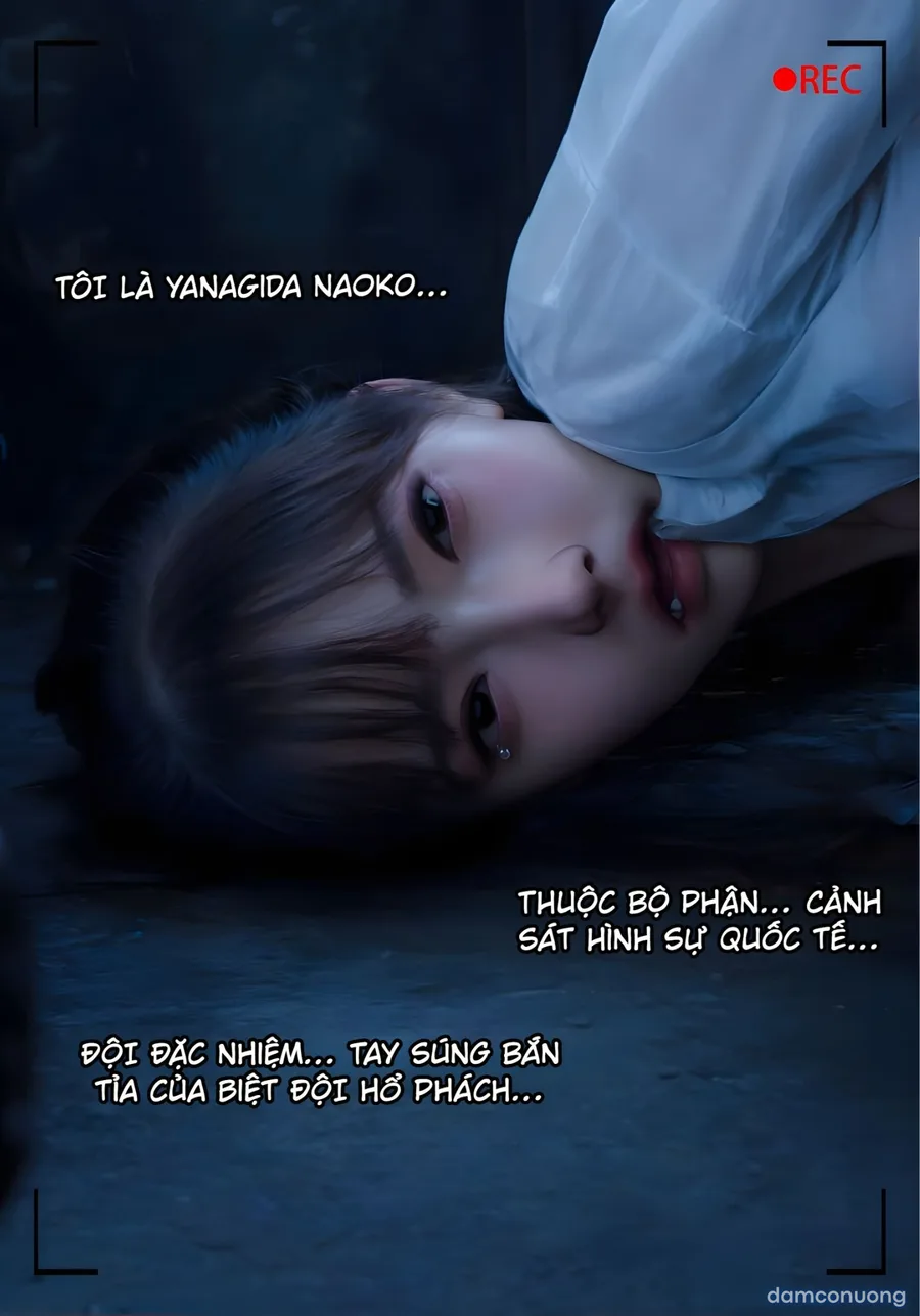 Mật Vụ Phượng Hoàng 