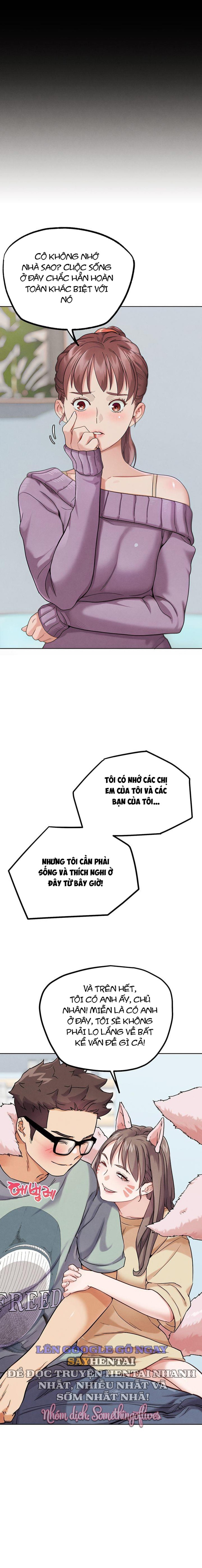 Chế Độ Đối Kháng Đời Thực 