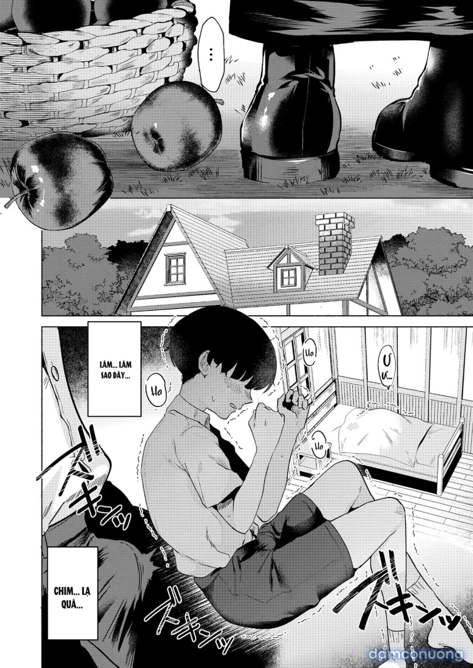 Sister and Sexual Confession 