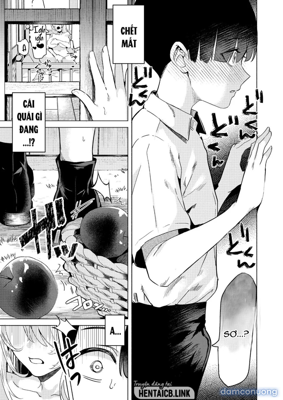 Sister and Sexual Confession 