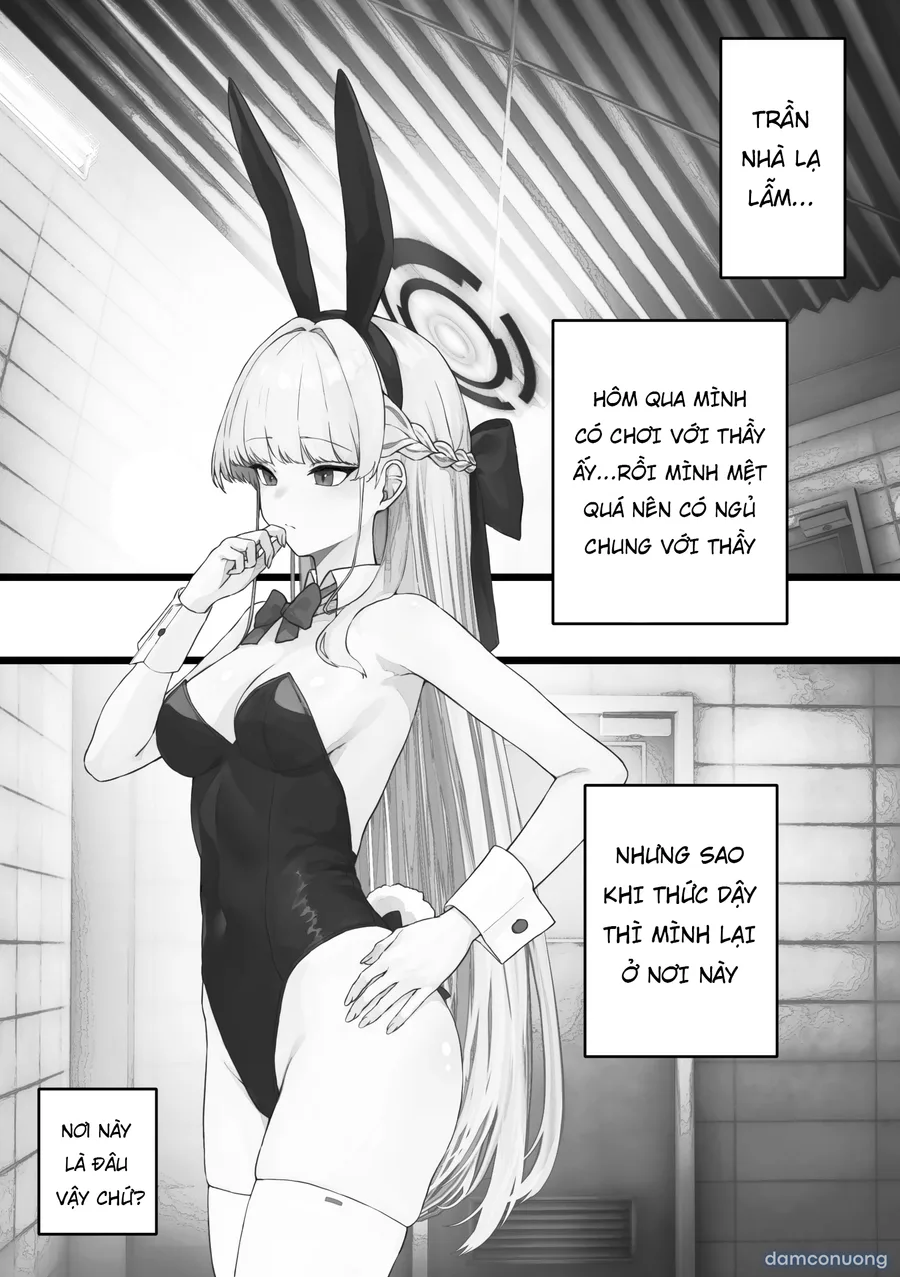 Toki và cái lỗ 
