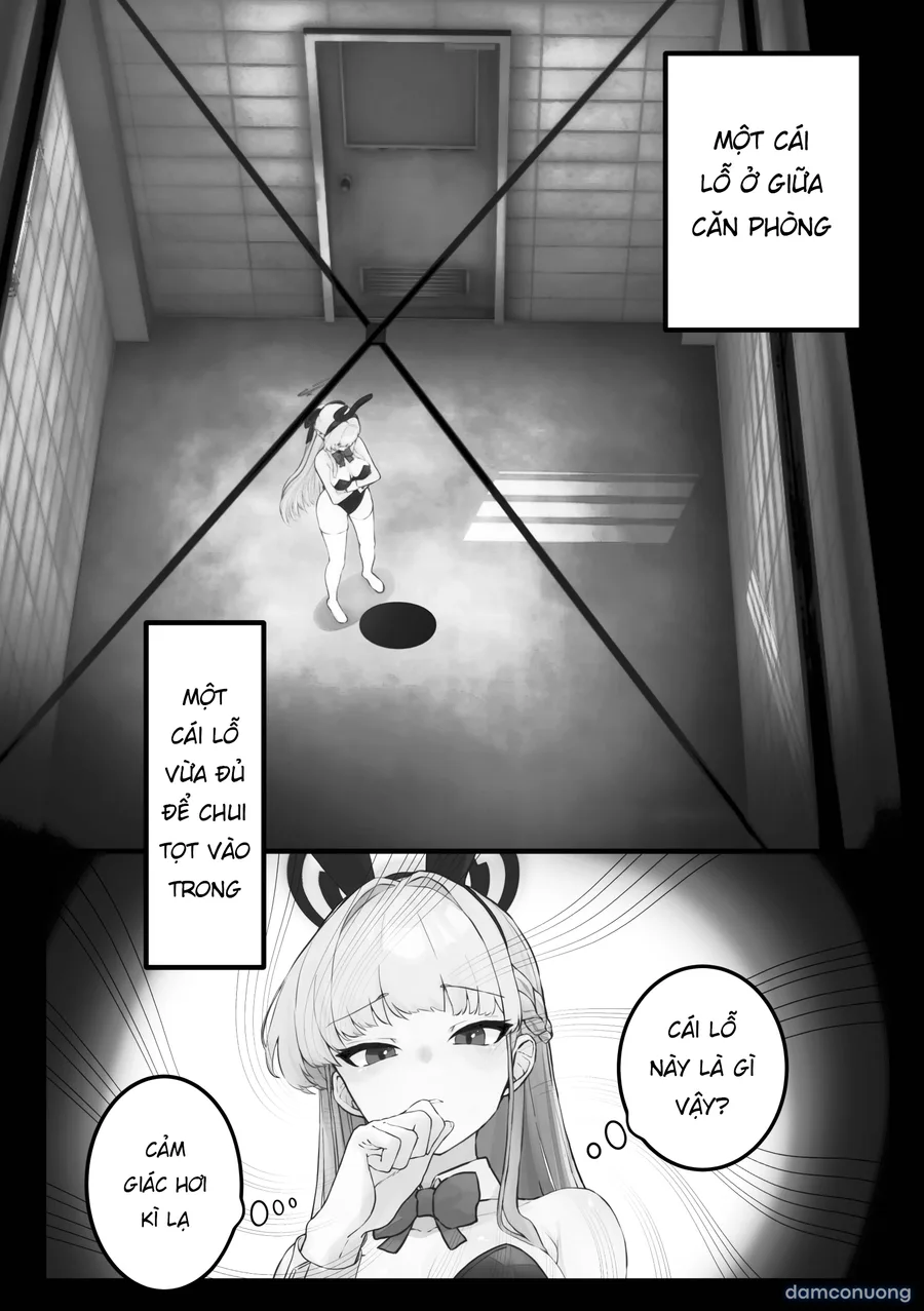 Toki và cái lỗ 