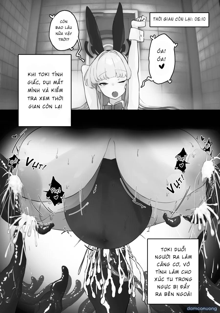 Toki và cái lỗ 