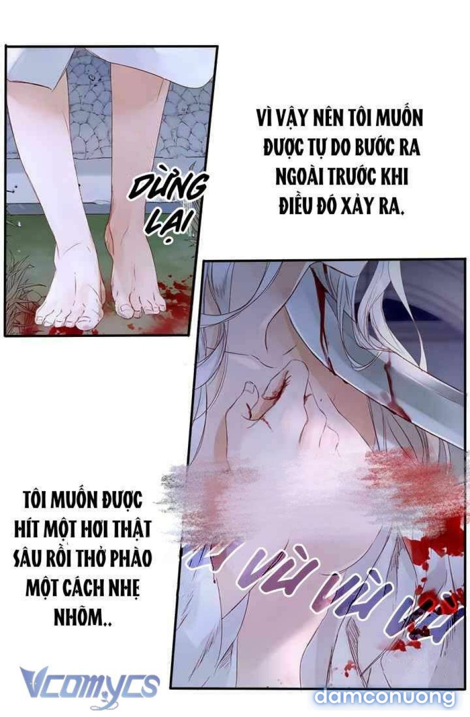 Đoá Hoa Kiều Diễm Của Hoàng Đế 