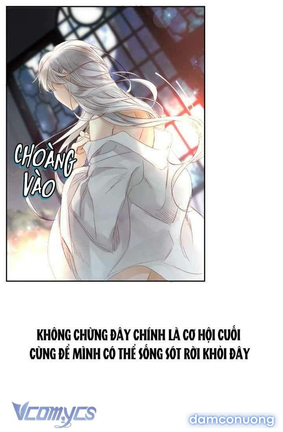 Đoá Hoa Kiều Diễm Của Hoàng Đế 