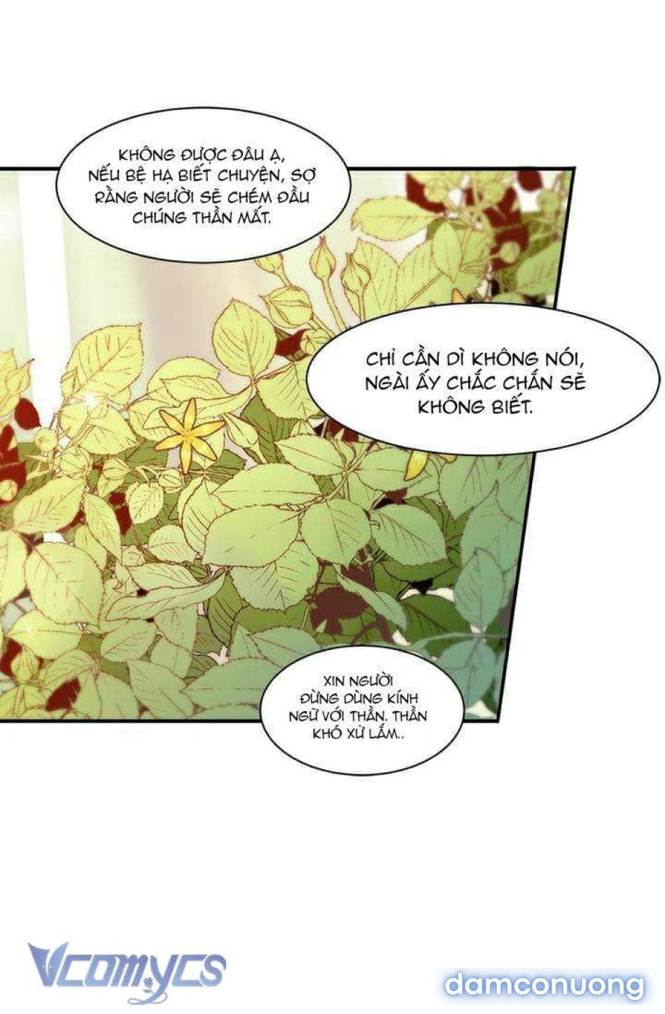 Đoá Hoa Kiều Diễm Của Hoàng Đế 