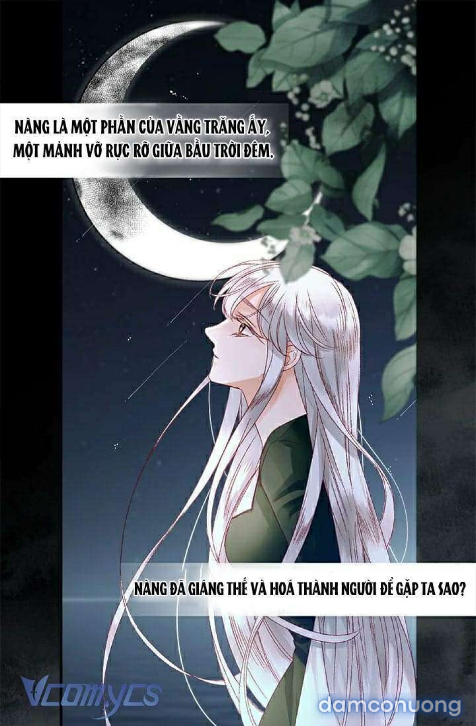 Đoá Hoa Kiều Diễm Của Hoàng Đế 