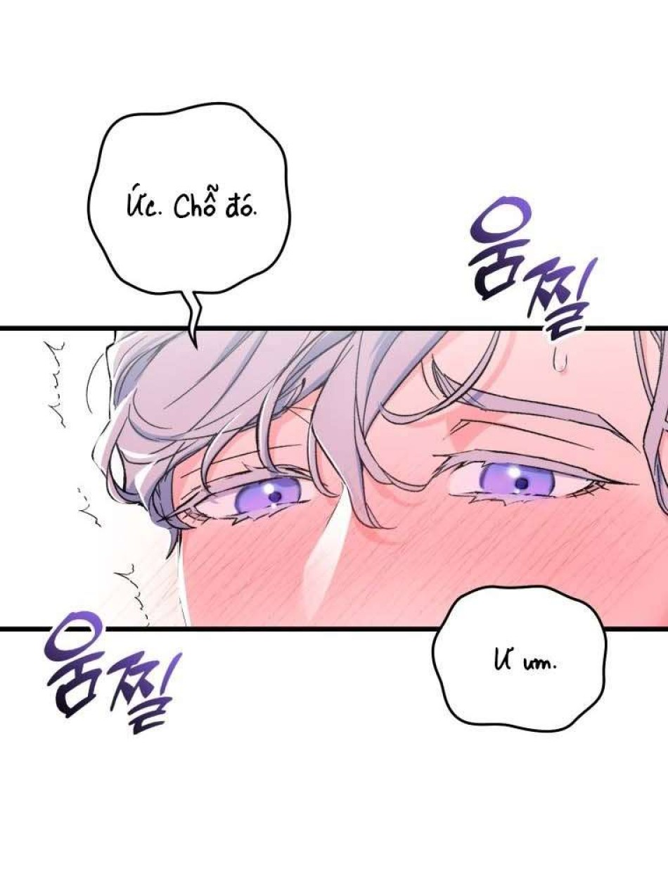 XX Xuất Hiện Rồi! 