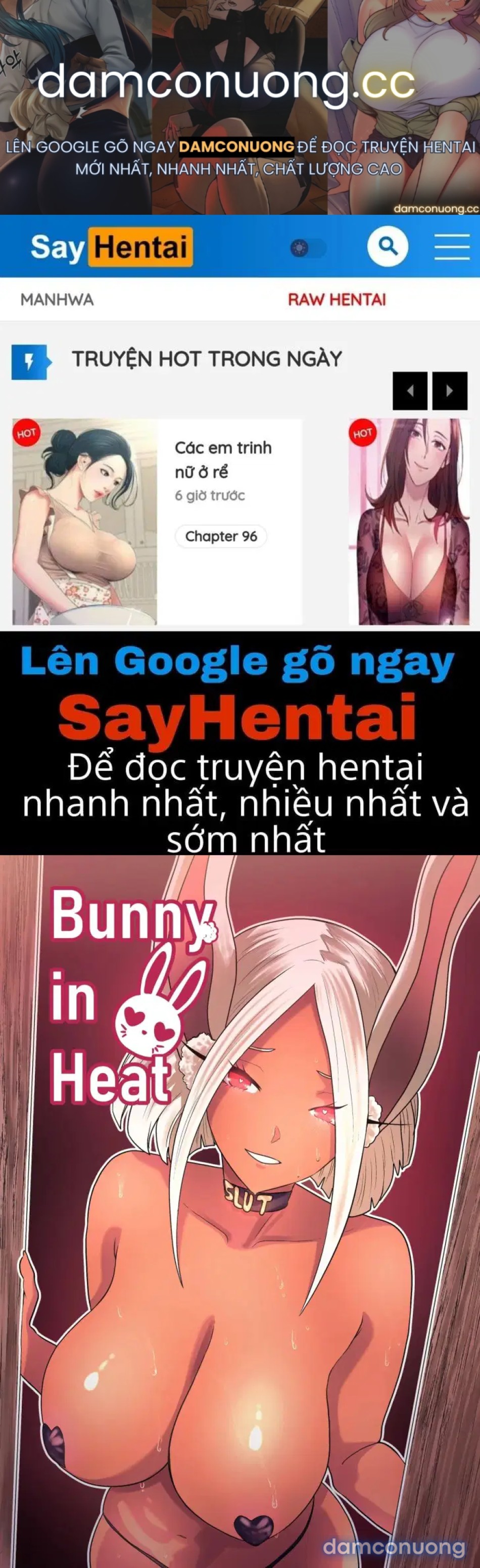 Thỏ cái động dục 
