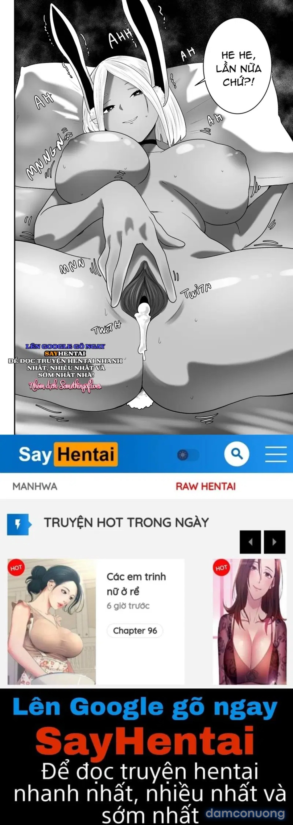 Thỏ cái động dục 