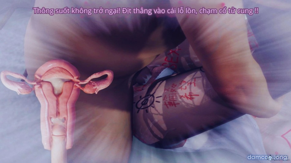 Tiểu Sử Trần Kiều An 