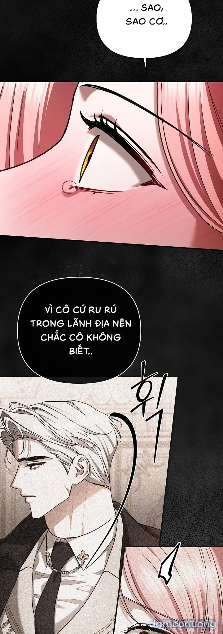 Tôi Đã Ăn Thay Cho Chồng 