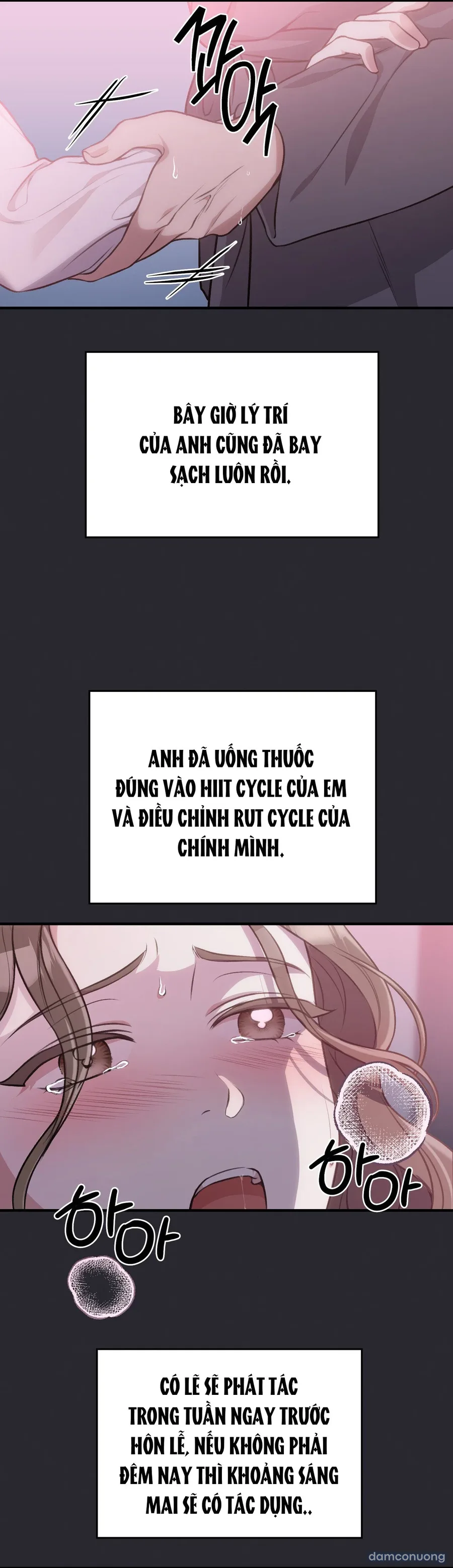 Đoạt Ái 