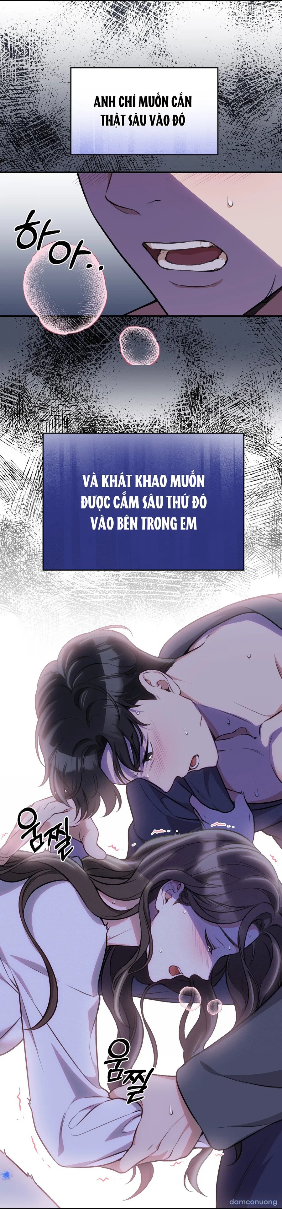 Đoạt Ái 