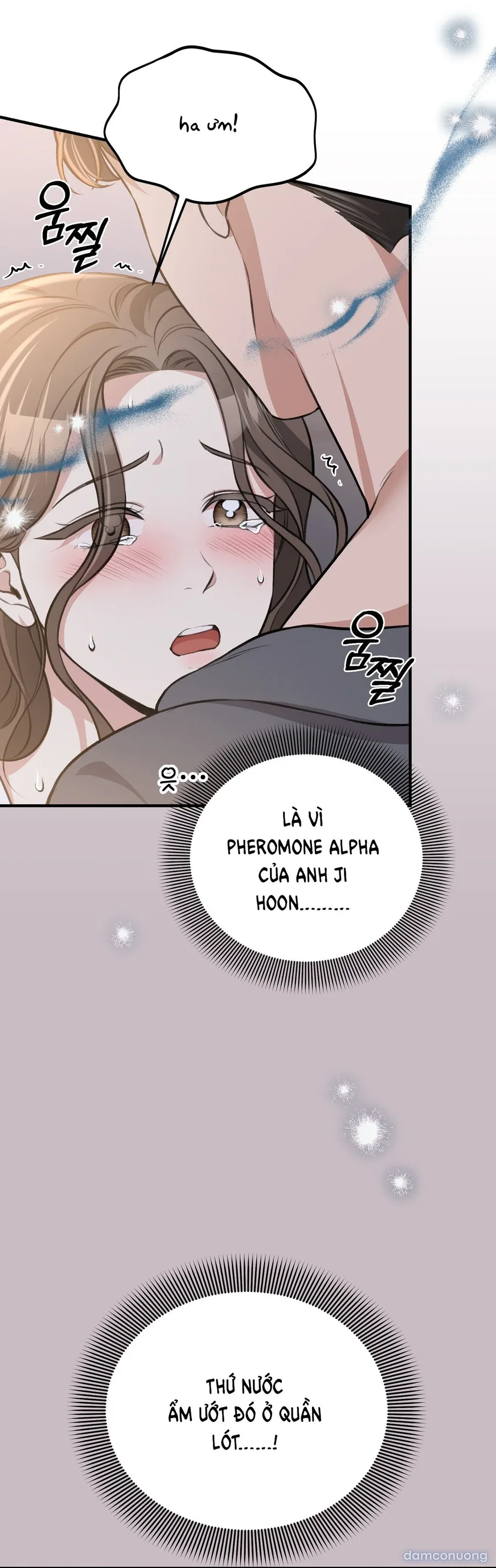 Đoạt Ái 