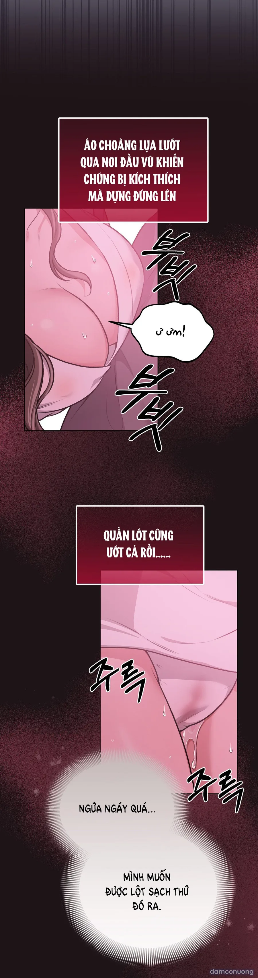 Đoạt Ái 