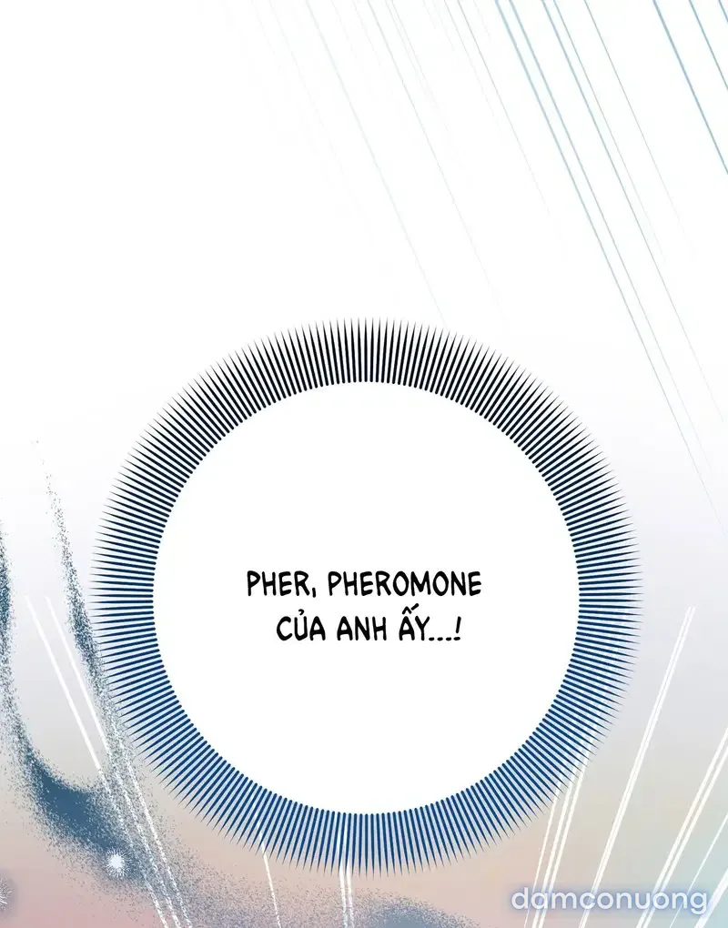 Đoạt Ái 