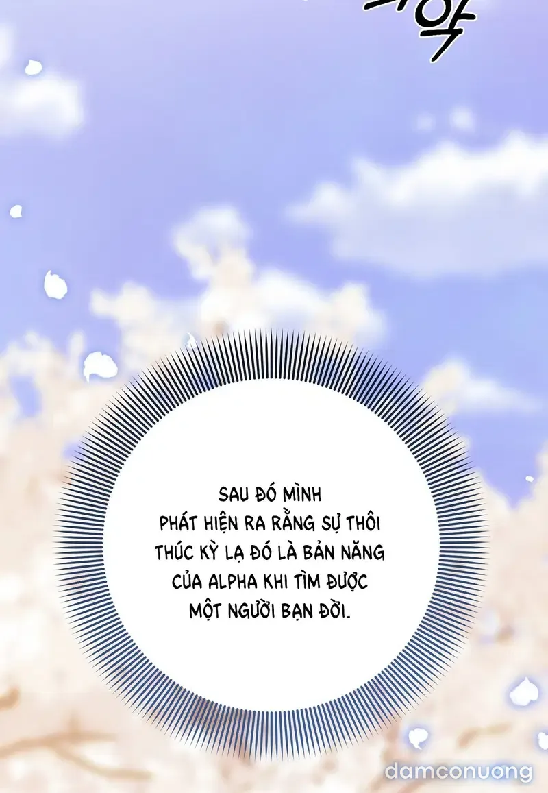 Đoạt Ái 