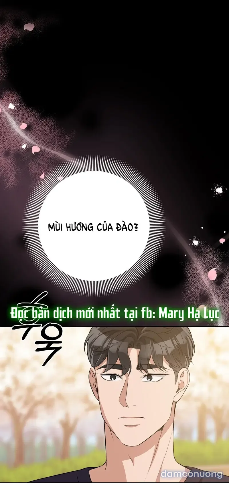 Đoạt Ái 