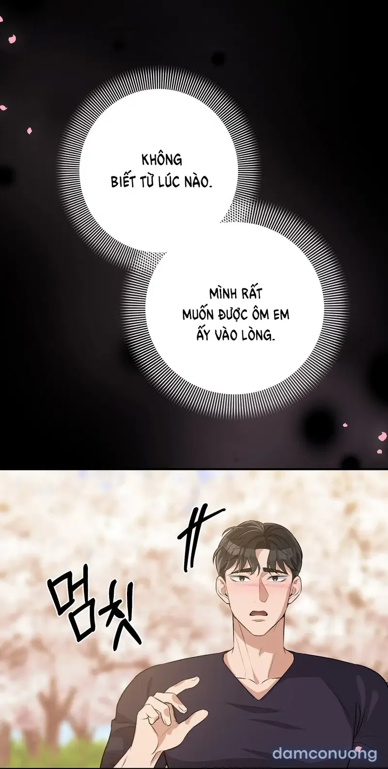 Đoạt Ái 