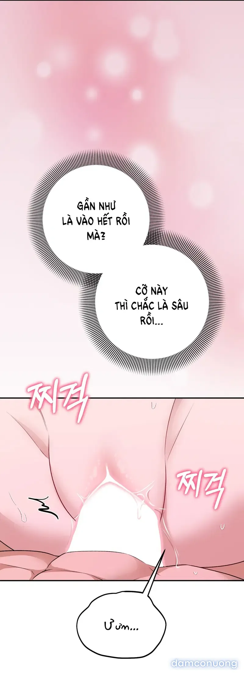 Đoạt Ái 