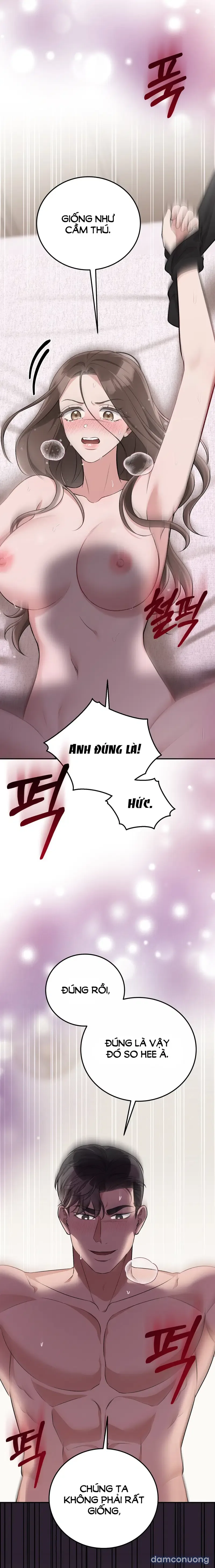 Đoạt Ái 