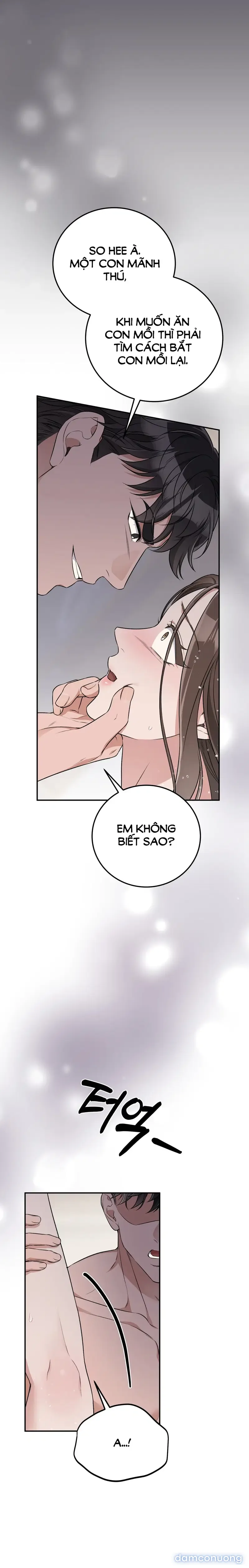 Đoạt Ái 
