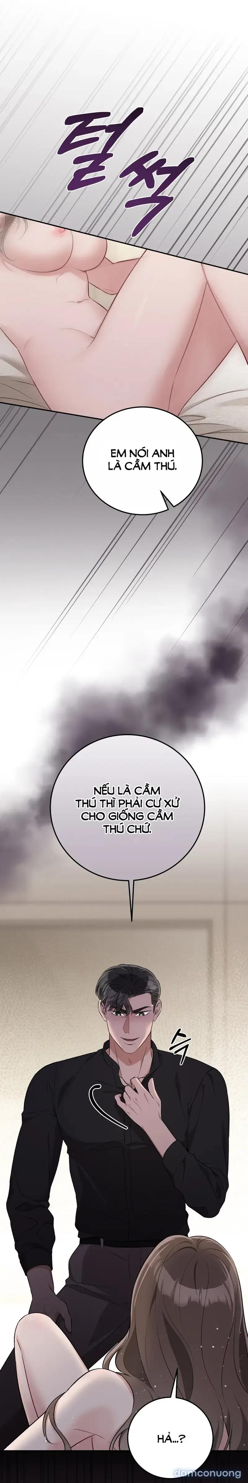 Đoạt Ái 