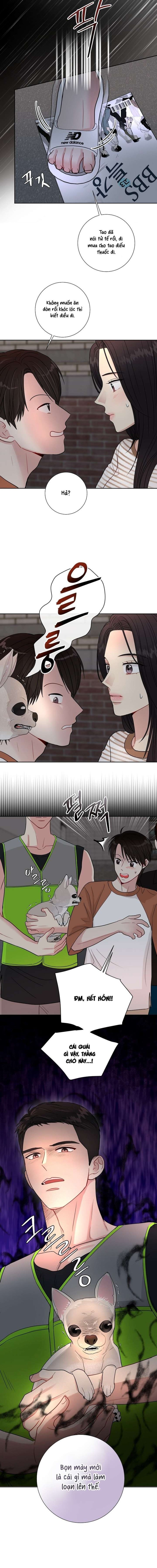 Mùa Hè Em Đến 