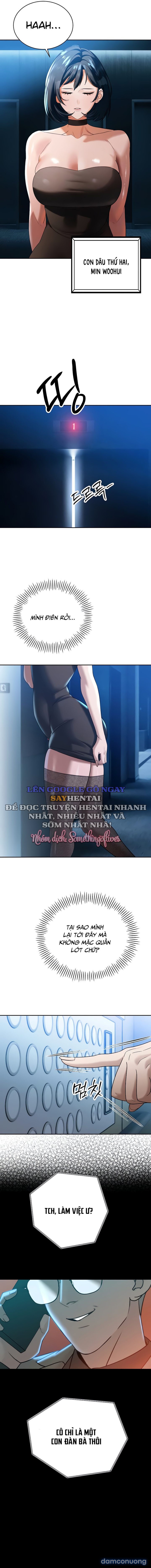 Bố Chồng Càn Quét Tất Cả Mọi Thứ 