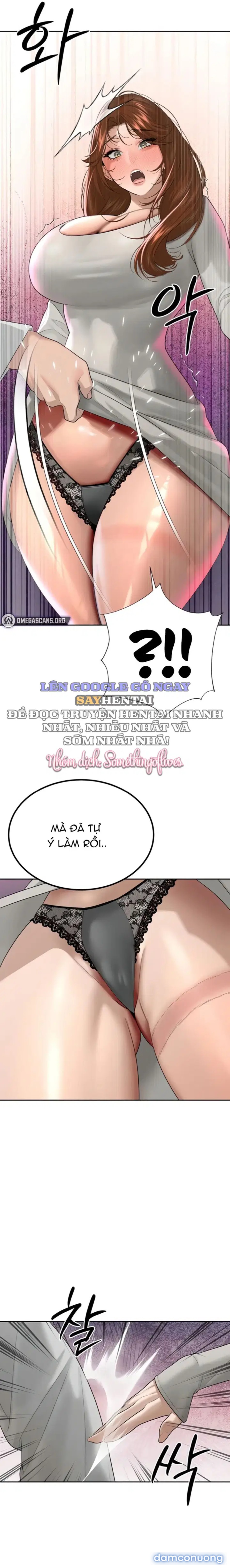 Bố Chồng Càn Quét Tất Cả Mọi Thứ 