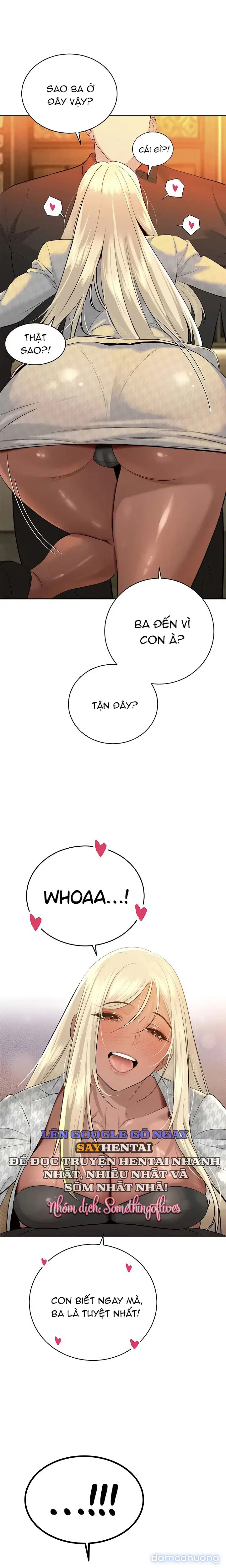 Bố Chồng Càn Quét Tất Cả Mọi Thứ 