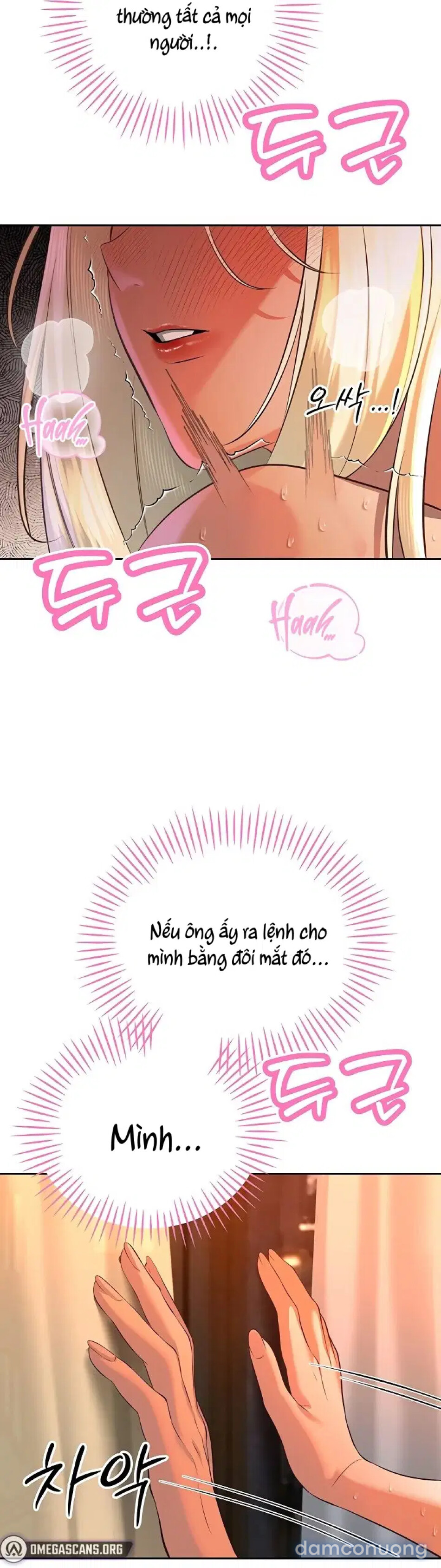 Bố Chồng Càn Quét Tất Cả Mọi Thứ 