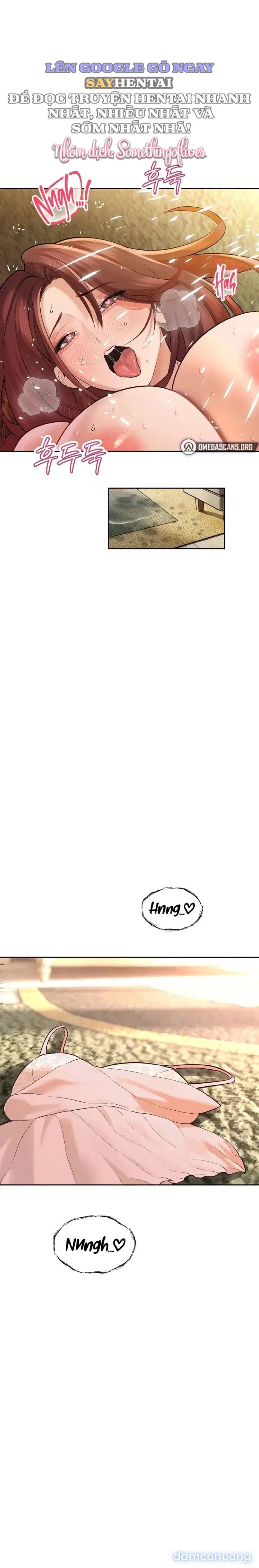 Bố Chồng Càn Quét Tất Cả Mọi Thứ 