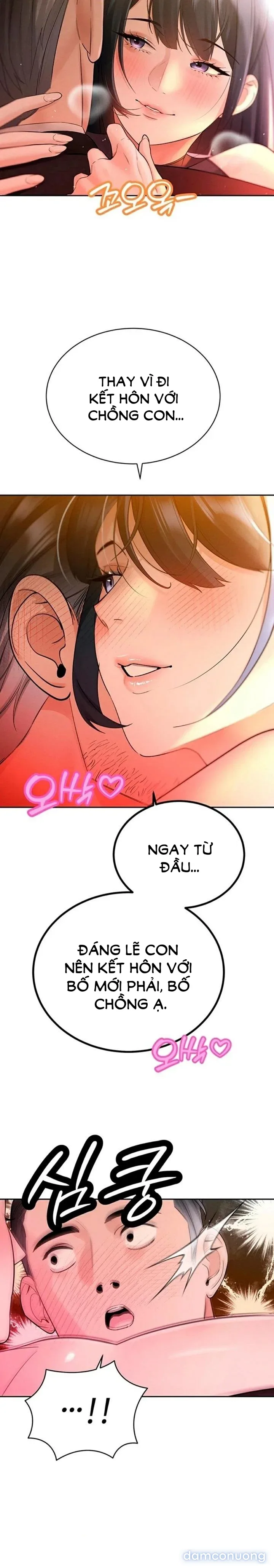 Bố Chồng Càn Quét Tất Cả Mọi Thứ 