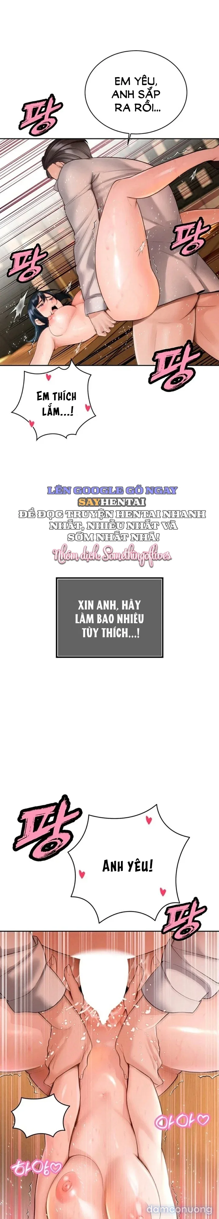 Bố Chồng Càn Quét Tất Cả Mọi Thứ 