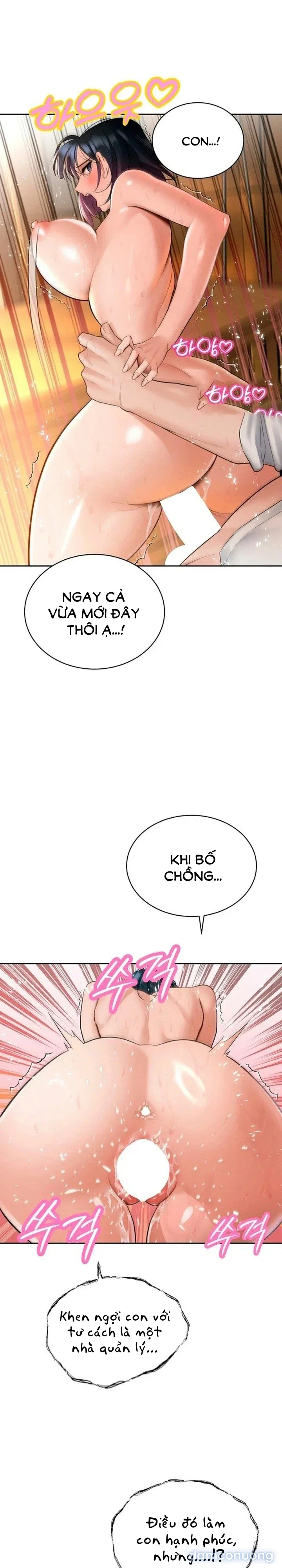 Bố Chồng Càn Quét Tất Cả Mọi Thứ 