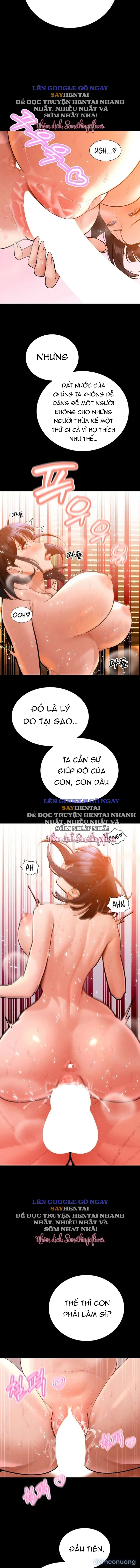 Bố Chồng Càn Quét Tất Cả Mọi Thứ 