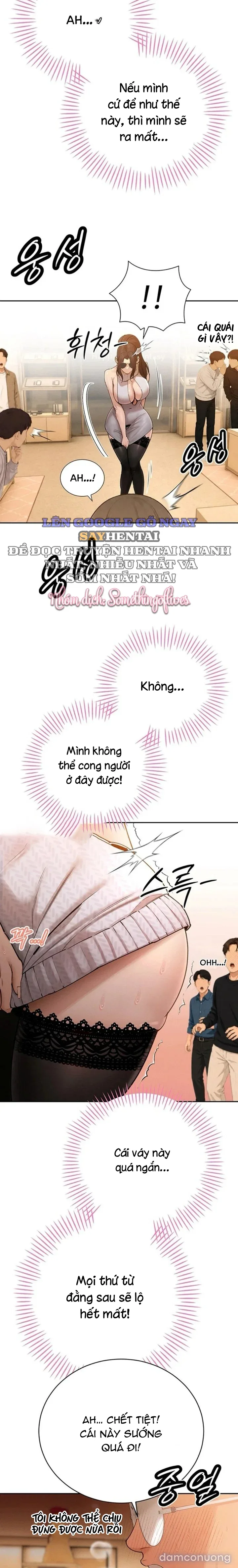 Bố Chồng Càn Quét Tất Cả Mọi Thứ 