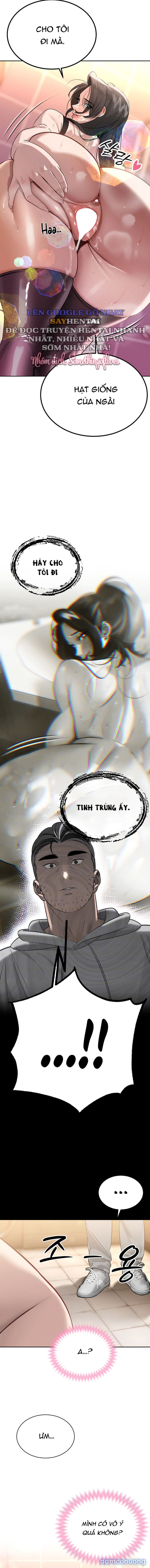 Bố Chồng Càn Quét Tất Cả Mọi Thứ 