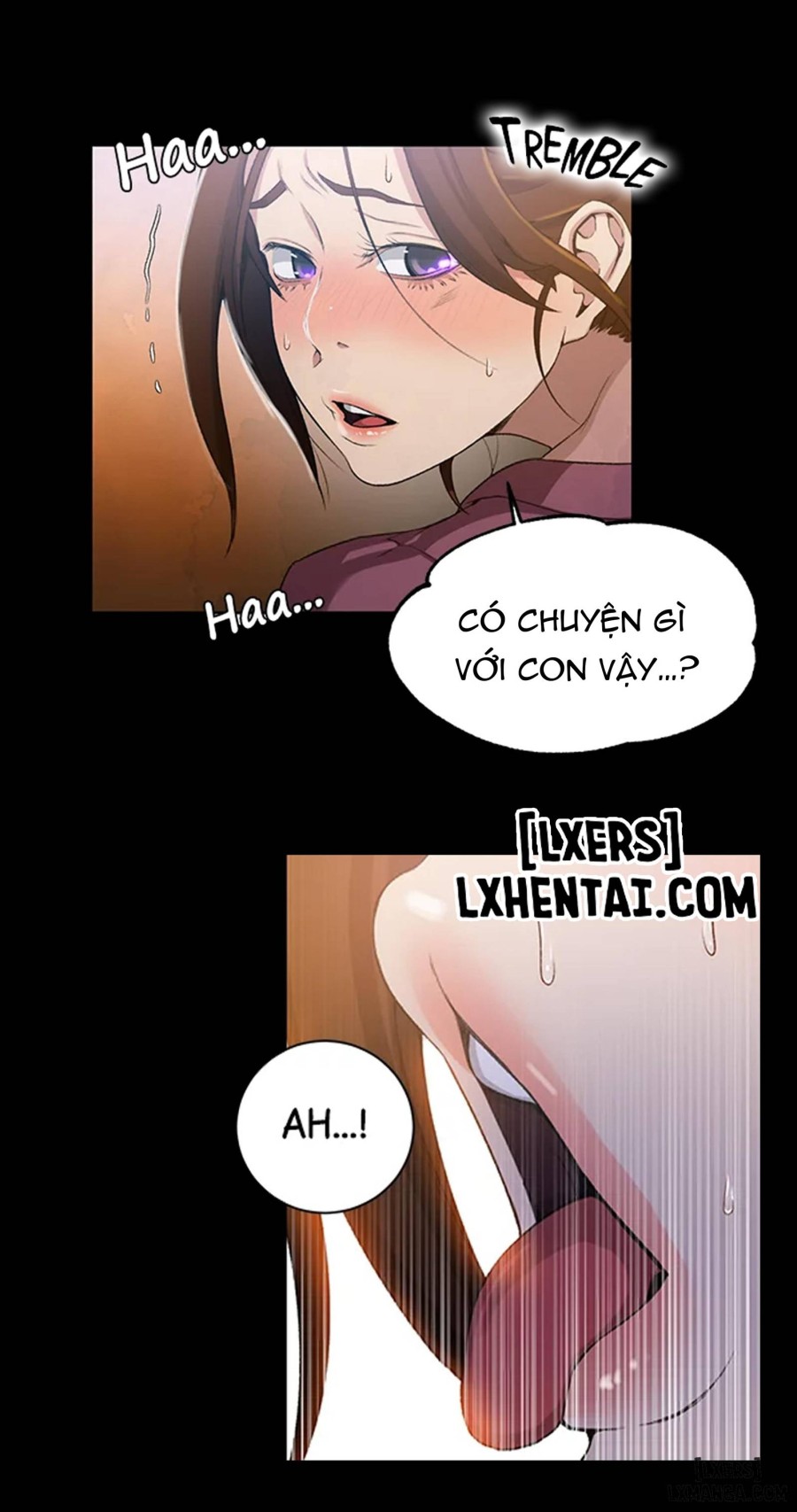 Lớp Học Gia Đình 