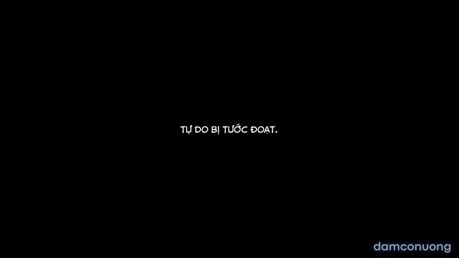 Beginning Black M 