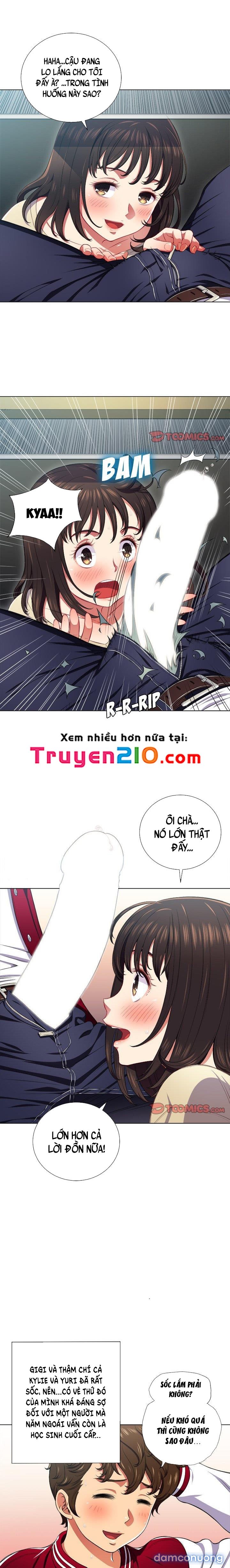 Bắt Nạt Học Đường 