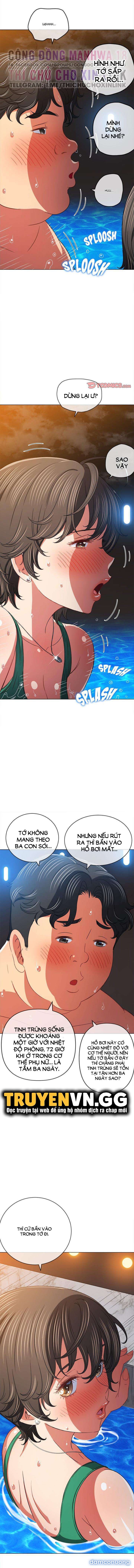 Bắt Nạt Học Đường 