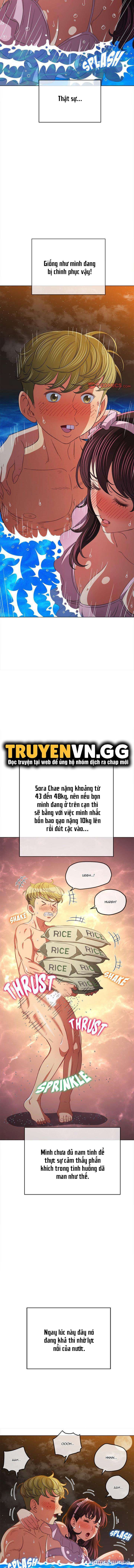 Bắt Nạt Học Đường 