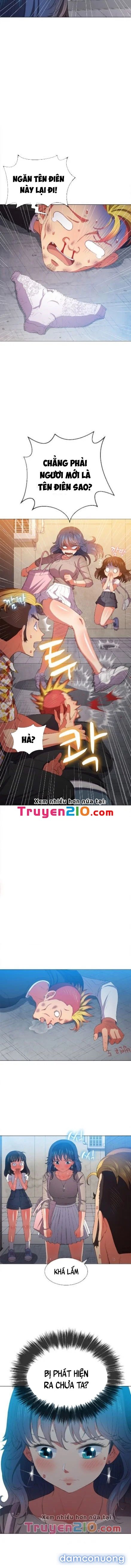 Bắt Nạt Học Đường 