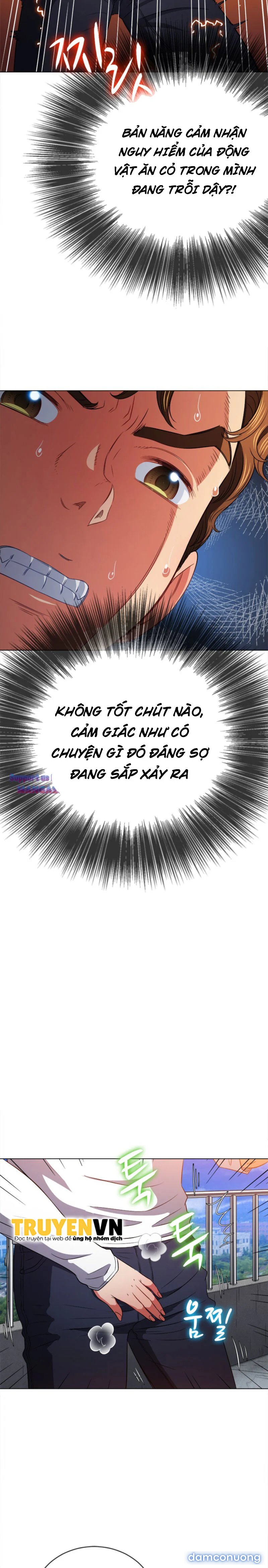Bắt Nạt Học Đường 