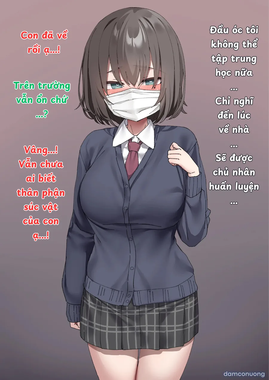 Truyện về một nữ sinh 