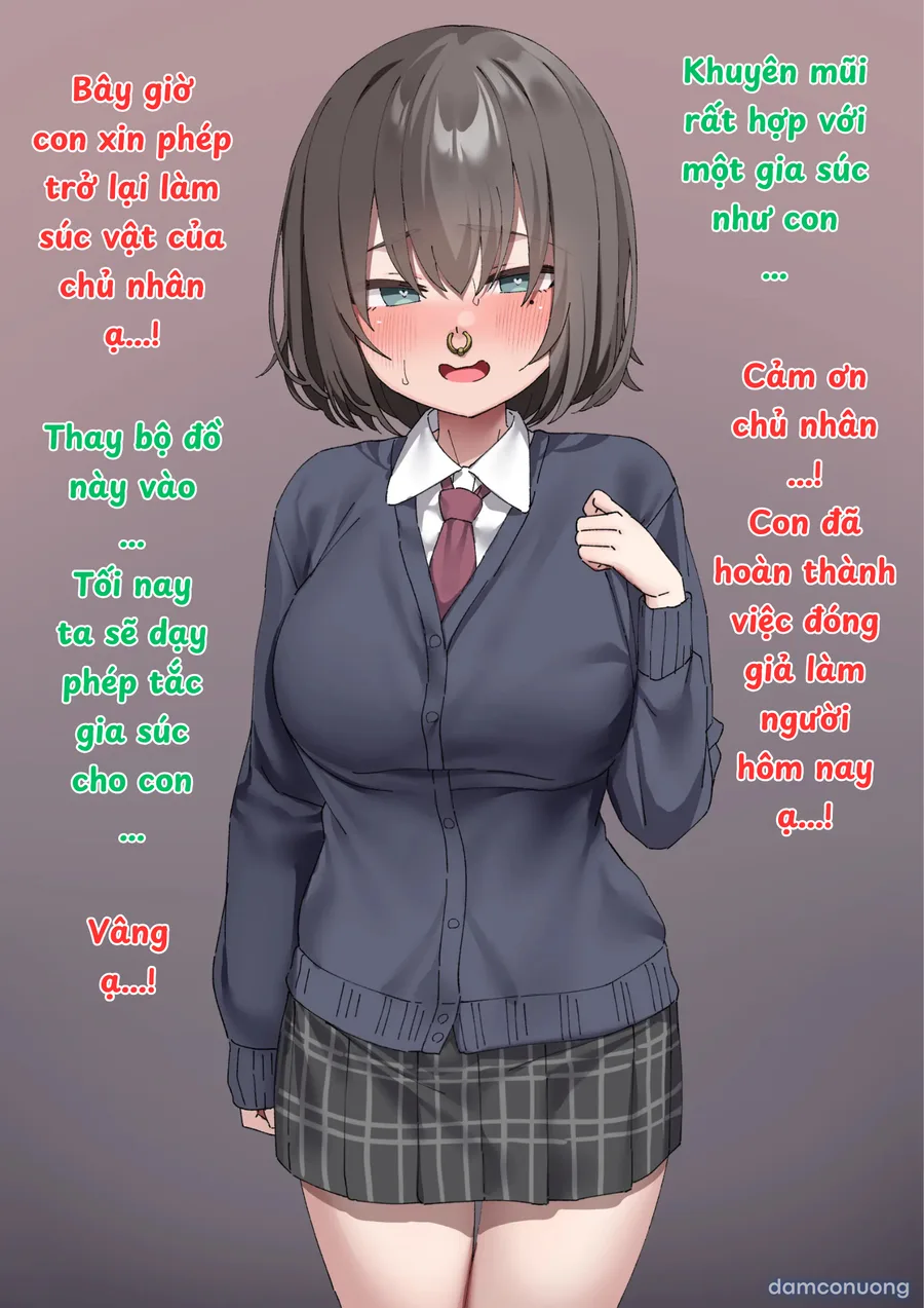 Truyện về một nữ sinh 